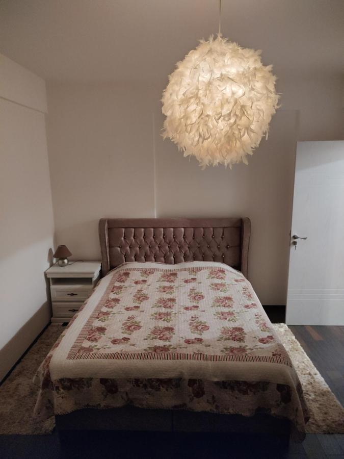 The Unique Apartment Roşu Екстериор снимка